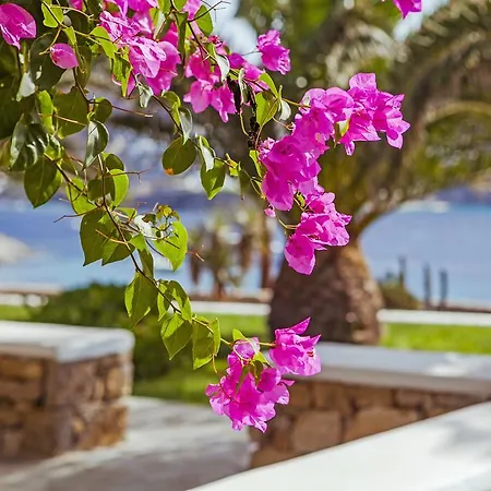 Sea View Hotel