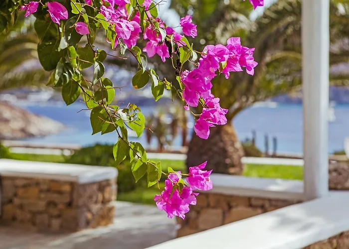 Sea View Ξενοδοχείο